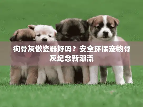狗骨灰做瓷器好吗？安全环保宠物骨灰纪念新潮流