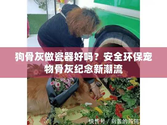 狗骨灰做瓷器好吗？安全环保宠物骨灰纪念新潮流