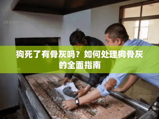 狗死了有骨灰吗？如何处理狗骨灰的全面指南