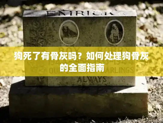 狗死了有骨灰吗？如何处理狗骨灰的全面指南