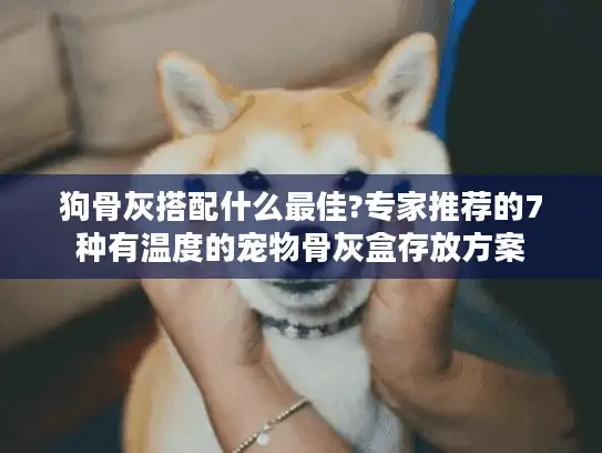 狗骨灰搭配什么最佳?专家推荐的7种有温度的宠物骨灰盒存放方案