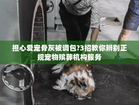 担心爱宠骨灰被调包?3招教你辨别正规宠物殡葬机构服务
