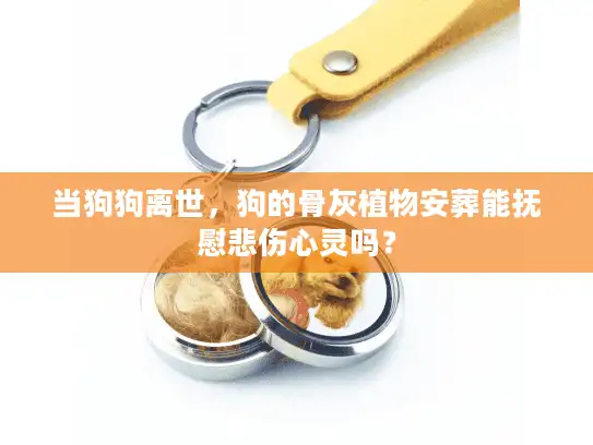 当狗狗离世，狗的骨灰植物安葬能抚慰悲伤心灵吗？