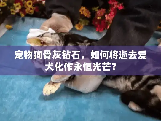 宠物狗骨灰钻石，如何将逝去爱犬化作永恒光芒？