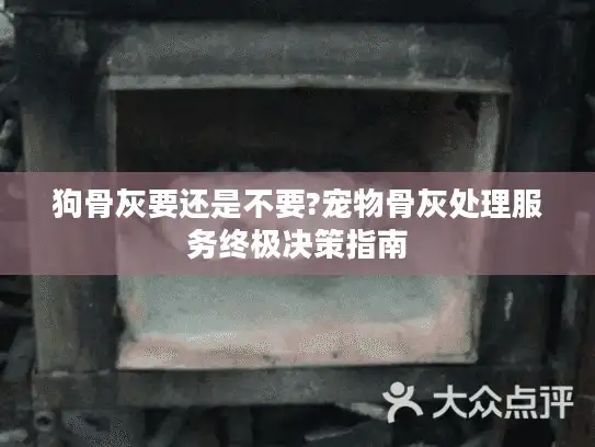 狗骨灰要还是不要?宠物骨灰处理服务终极决策指南