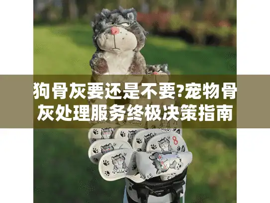 狗骨灰要还是不要?宠物骨灰处理服务终极决策指南