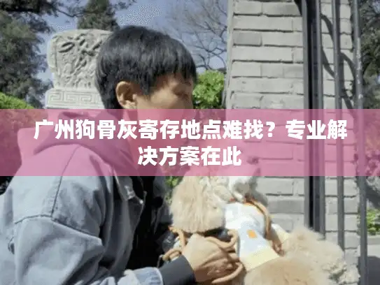 广州狗骨灰寄存地点难找？专业解决方案在此
