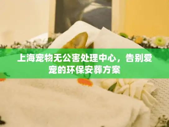 上海宠物无公害处理中心，告别爱宠的环保安葬方案