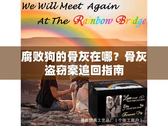 腐败狗的骨灰在哪？骨灰盗窃案追回指南