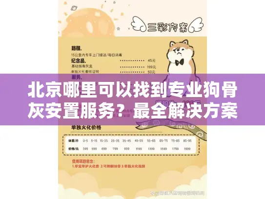 北京哪里可以找到专业狗骨灰安置服务？最全解决方案指南