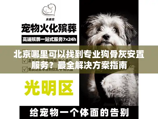 北京哪里可以找到专业狗骨灰安置服务？最全解决方案指南