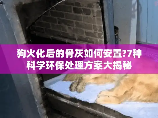 狗火化后的骨灰如何安置?7种科学环保处理方案大揭秘