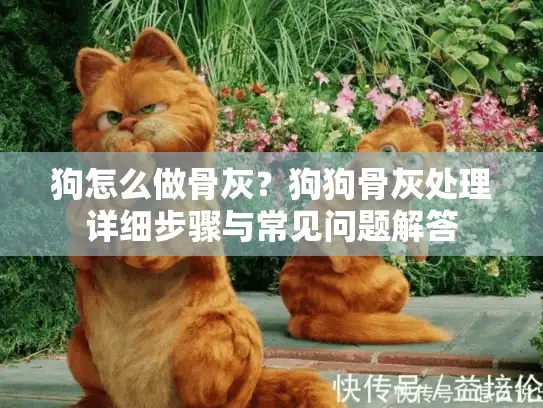 狗怎么做骨灰？狗狗骨灰处理详细步骤与常见问题解答
