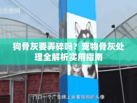 狗骨灰要弄碎吗？宠物骨灰处理全解析实用指南