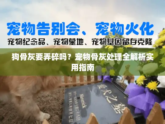 狗骨灰要弄碎吗？宠物骨灰处理全解析实用指南