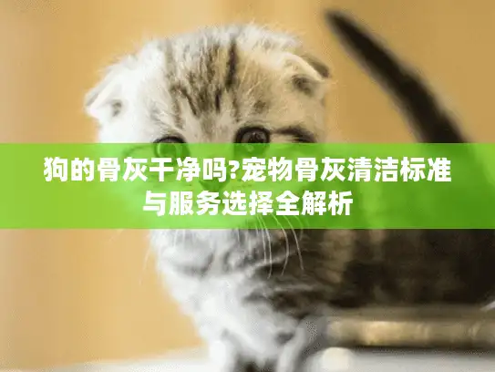 狗的骨灰干净吗?宠物骨灰清洁标准与服务选择全解析