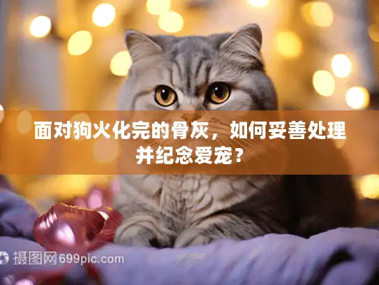 面对狗火化完的骨灰，如何妥善处理并纪念爱宠？