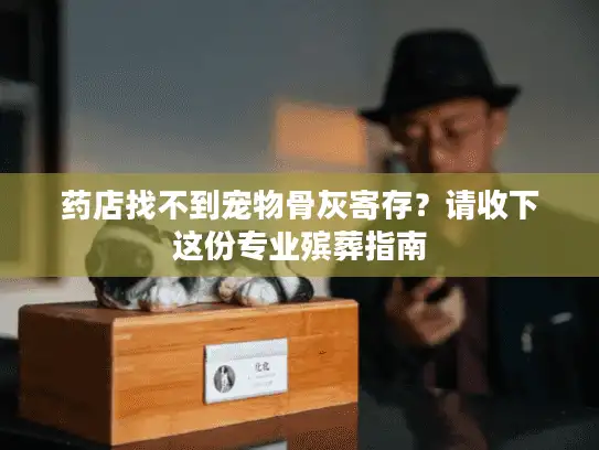 药店找不到宠物骨灰寄存？请收下这份专业殡葬指南