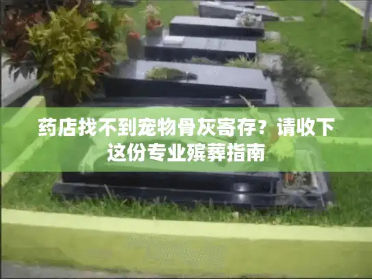 药店找不到宠物骨灰寄存？请收下这份专业殡葬指南