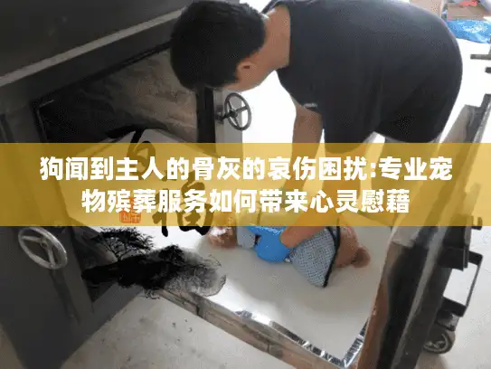 狗闻到主人的骨灰的哀伤困扰:专业宠物殡葬服务如何带来心灵慰藉