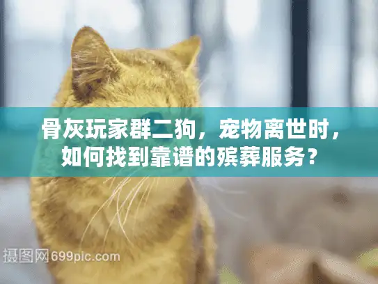 骨灰玩家群二狗，宠物离世时，如何找到靠谱的殡葬服务？
