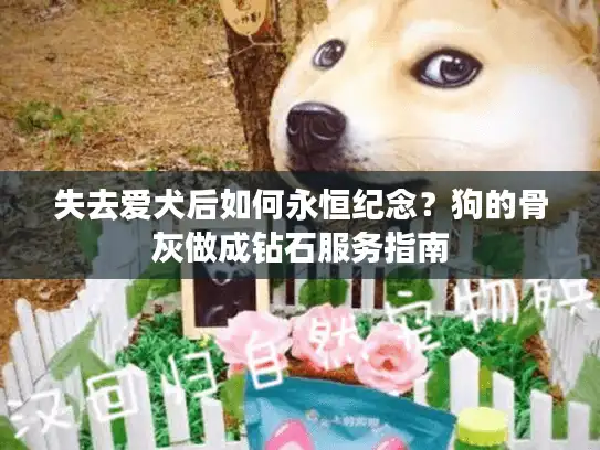 失去爱犬后如何永恒纪念？狗的骨灰做成钻石服务指南