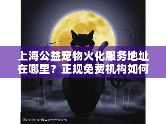 上海公益宠物火化服务地址在哪里？正规免费机构如何查找