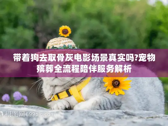带着狗去取骨灰电影场景真实吗?宠物殡葬全流程陪伴服务解析