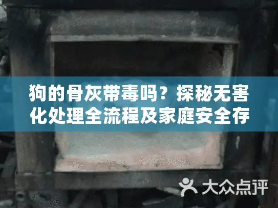 狗的骨灰带毒吗？探秘无害化处理全流程及家庭安全存放方案