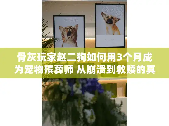 骨灰玩家赵二狗如何用3个月成为宠物殡葬师 从崩溃到救赎的真实历程