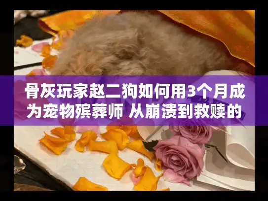 骨灰玩家赵二狗如何用3个月成为宠物殡葬师 从崩溃到救赎的真实历程