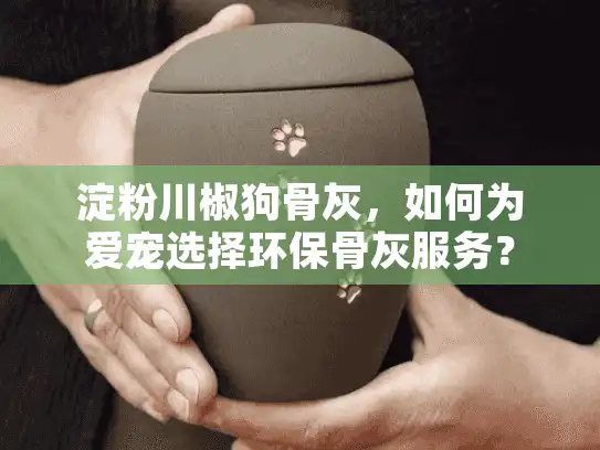 淀粉川椒狗骨灰，如何为爱宠选择环保骨灰服务？