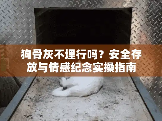 狗骨灰不埋行吗？安全存放与情感纪念实操指南