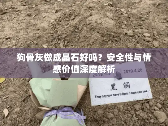 狗骨灰做成晶石好吗？安全性与情感价值深度解析