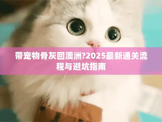 带宠物骨灰回澳洲?2025最新通关流程与避坑指南