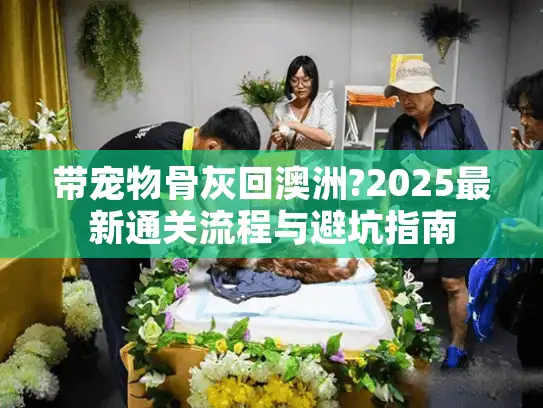 带宠物骨灰回澳洲?2025最新通关流程与避坑指南