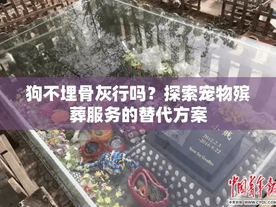 狗不埋骨灰行吗？探索宠物殡葬服务的替代方案