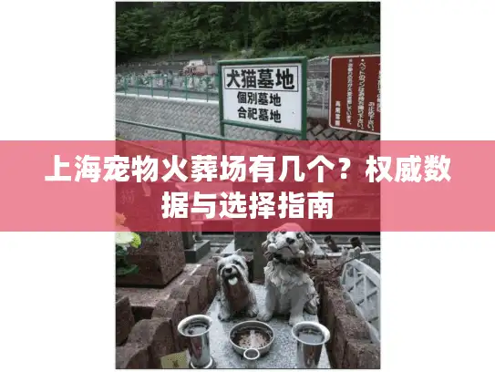 上海宠物火葬场有几个？权威数据与选择指南