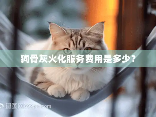 狗骨灰火化服务费用是多少？