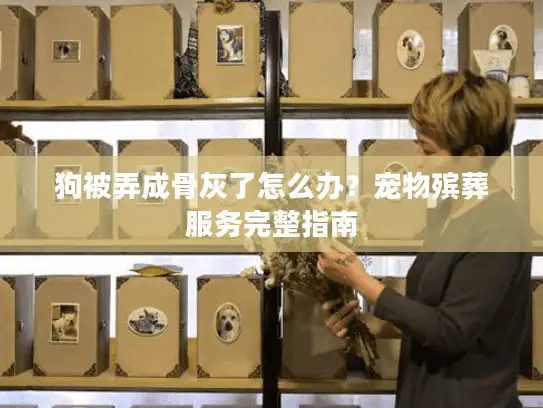 狗被弄成骨灰了怎么办？宠物殡葬服务完整指南