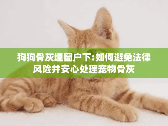狗狗骨灰埋窗户下:如何避免法律风险并安心处理宠物骨灰