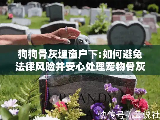 狗狗骨灰埋窗户下:如何避免法律风险并安心处理宠物骨灰