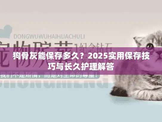 狗骨灰能保存多久？2025实用保存技巧与长久护理解答