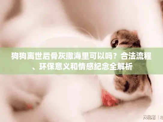 狗狗离世后骨灰撒海里可以吗？合法流程、环保意义和情感纪念全解析