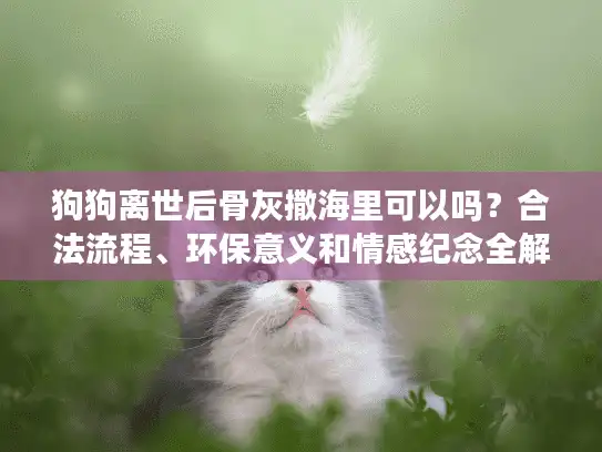 狗狗离世后骨灰撒海里可以吗？合法流程、环保意义和情感纪念全解析