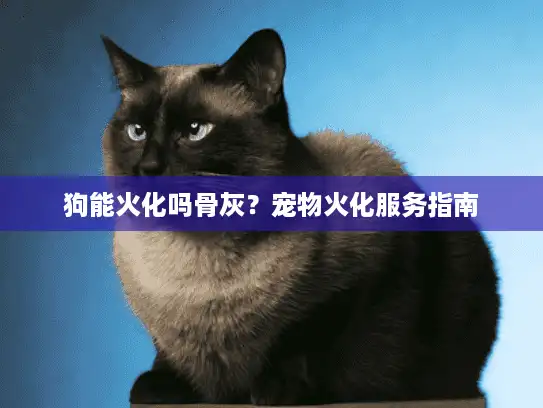 狗能火化吗骨灰？宠物火化服务指南