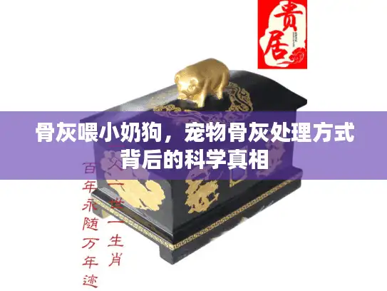 骨灰喂小奶狗，宠物骨灰处理方式背后的科学真相