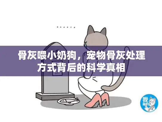 骨灰喂小奶狗，宠物骨灰处理方式背后的科学真相