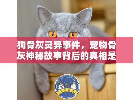 狗骨灰灵异事件，宠物骨灰神秘故事背后的真相是什么？