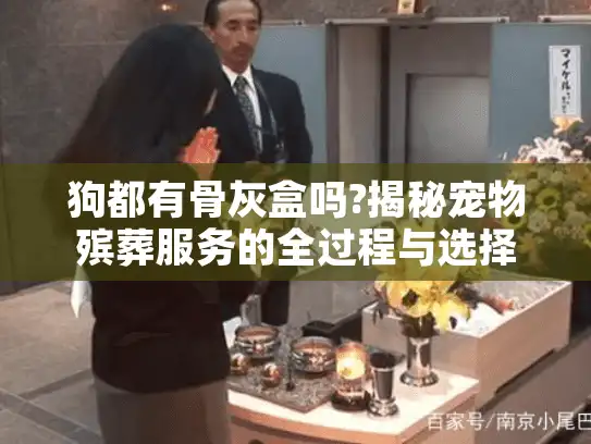 狗都有骨灰盒吗?揭秘宠物殡葬服务的全过程与选择